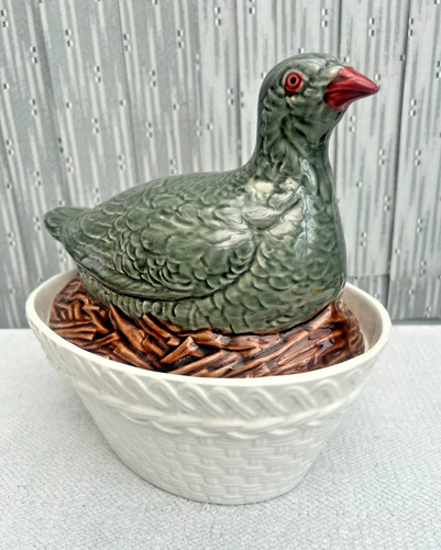 Unusual large pigeon bird - bird, nest