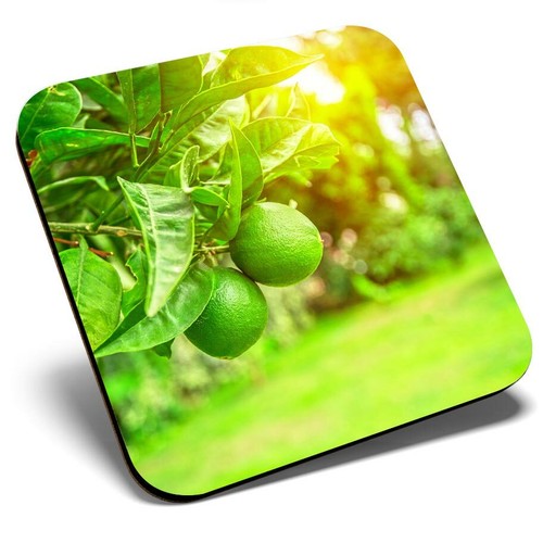 Square single coaster - square,