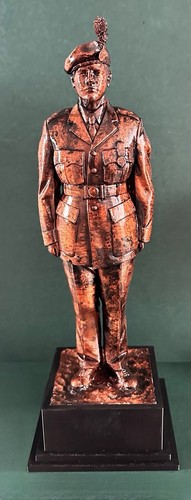 Royal irish regiment soldier - royal,