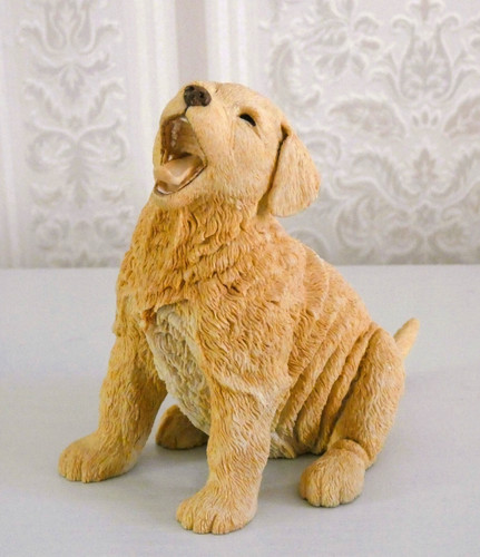 Golden retriever puppy paw - golden, by