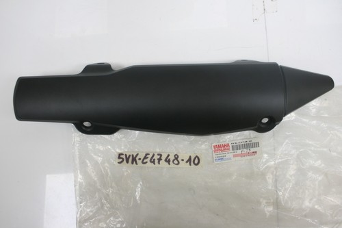 Muffler protection muffler