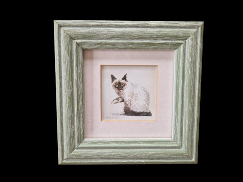 Robin mullen siamese cat - mullen,