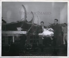1962 Press Photo Ambulance drivers remove body of W.T. Gregory from accident.