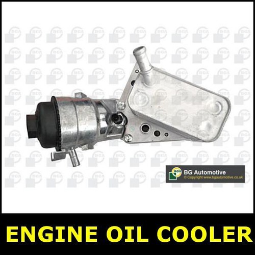 Engine oil cooler - engine,