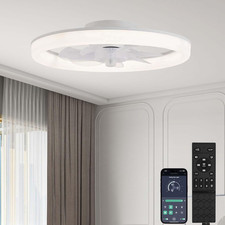 45cm Ceiling Fans Light, 6