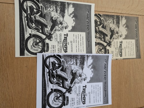 Triumph tiger cub - (1363),