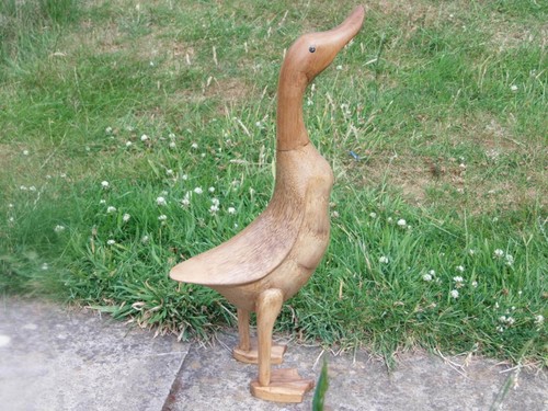 Large wooden duck with web - wooden,