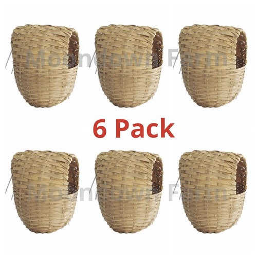 Finch wicker nesting - finch,