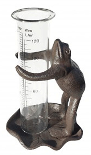 Frog rain gauge - frog, ideal