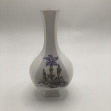 Royal Worcester Lily /