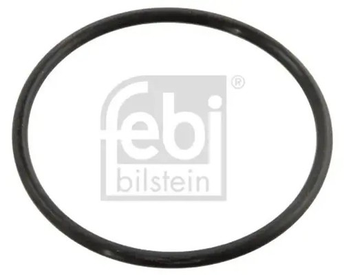 Thermostat ring seal epdm - thermostat,
