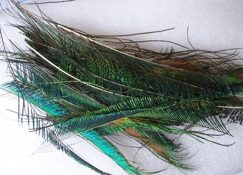 Green and blue peacock - blue, sword