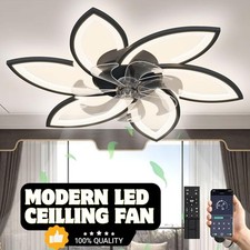 Modern Black LED Ceiling Fan