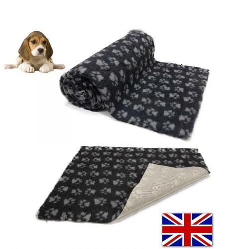 Charcoal grey paws - charcoal,