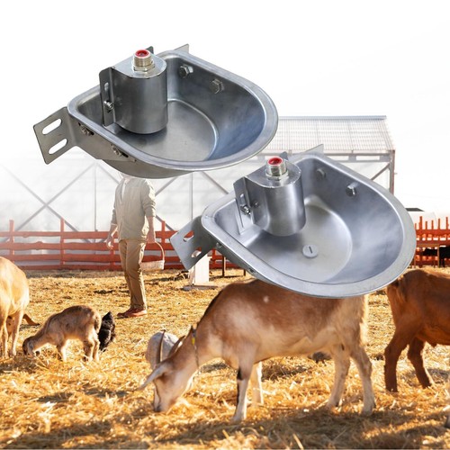 Automatic water dispenser - automatic,