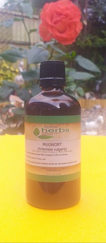 Organic mugwort artemisia - organic,