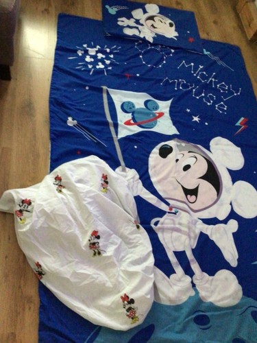 Mickey mouse brightly - mouse, coloured