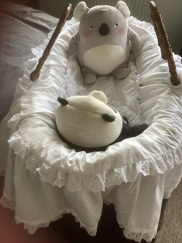 Vintage wicker moses basket