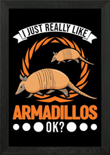 Armadillo Gift Framed Wall Art