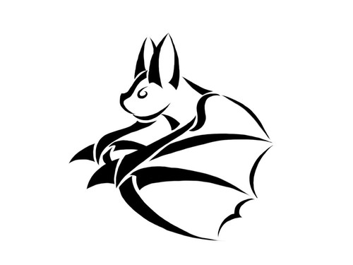 Bat for car - van, wall