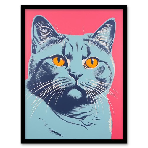 British shorthair cat blue - cat,