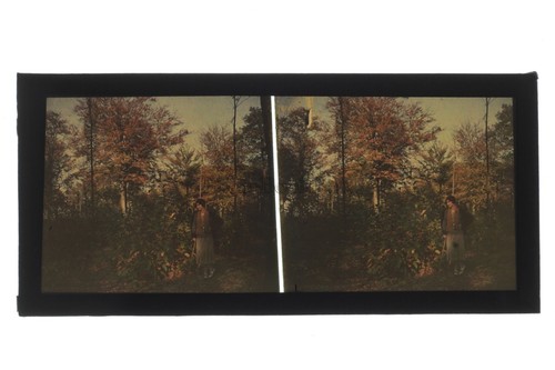 Vintage autochrome landscape - autochrome,