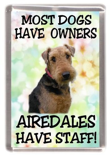 Airedale terrier dog - airedale, fridge