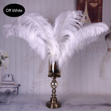 Long Quality Ostrich Feathers