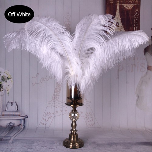 Long quality ostrich feathers - quality,