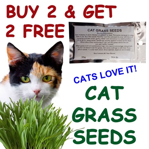 Cat grass seeds 25g buy - cat,