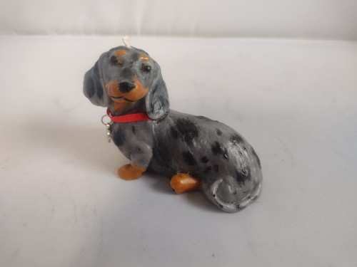 Cute silver dapple - dapple, tan