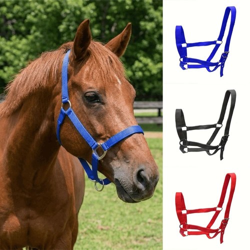 Adjustable horse halter bridle - adjustable,