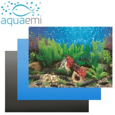 Aquarium Background