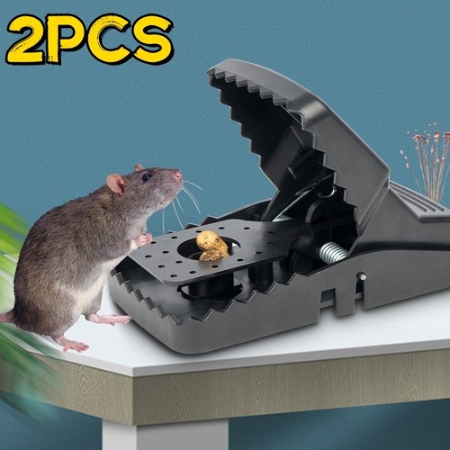2pack rat traps - rat, kill