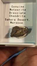 Genuine Meteorite. NWA L5