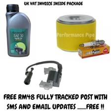 Service kit Fits CAMON C50i Petrol Chipper Honda Engine Coil Filter Oil