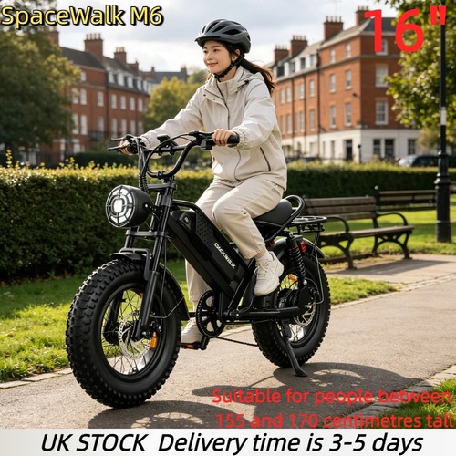 250w electric bike fat - bike,16"fat, tire
