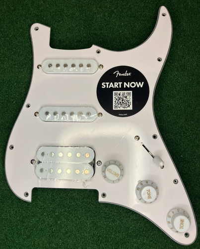 Squier stratocaster - –, –