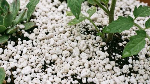 Premium perlite 1l 2l - perlite, /