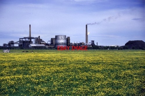 Photo 1989 monkton - photo,