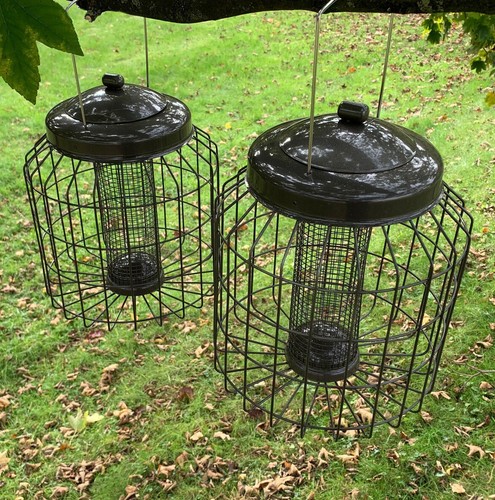 Squirrel proof hanging bird - proof,