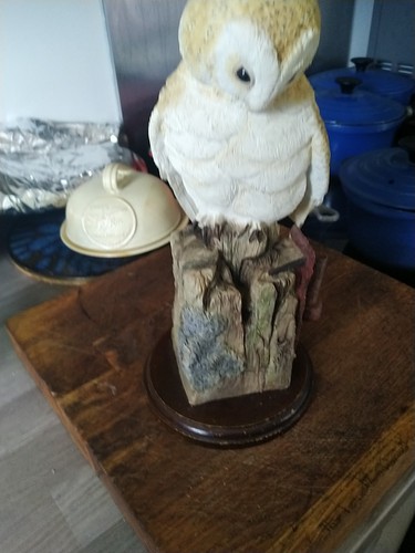 Leonardo owl with - leonardo,
