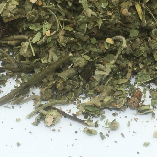 Mugwort marshmallow leaf - mugwort,