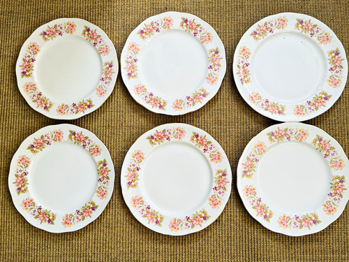 Set colclough fine bone - 6,