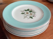 Johnson Brothers - Pareek Snow