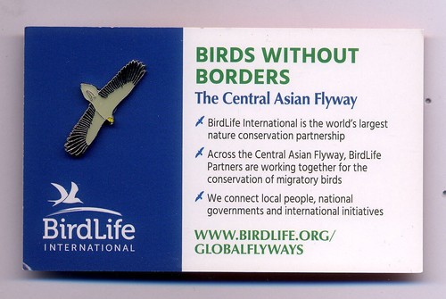 Non rspb bird pin - rspb,
