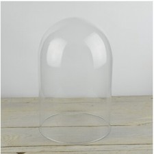 Medium Glass Display Cover Dome Cloche Height 30cm x 20 cm