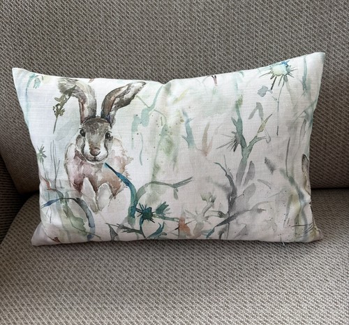 Jack rabbit hare double - /,