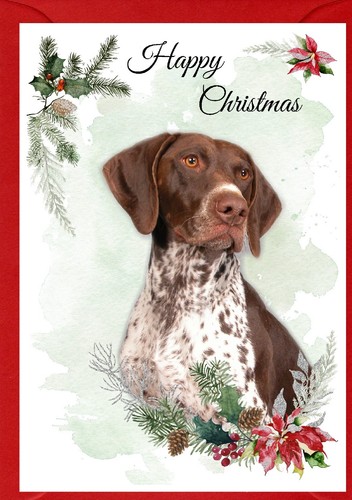 German shorthaired pointer - german,