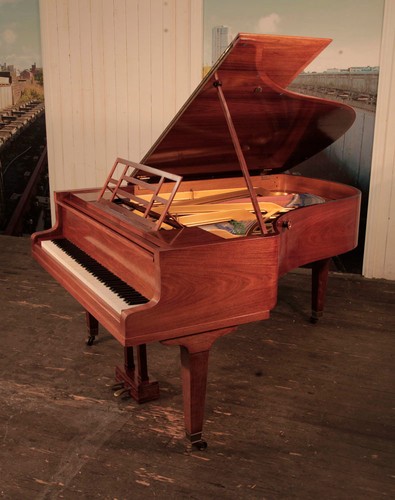 Bluthner german grand - bluthner, piano